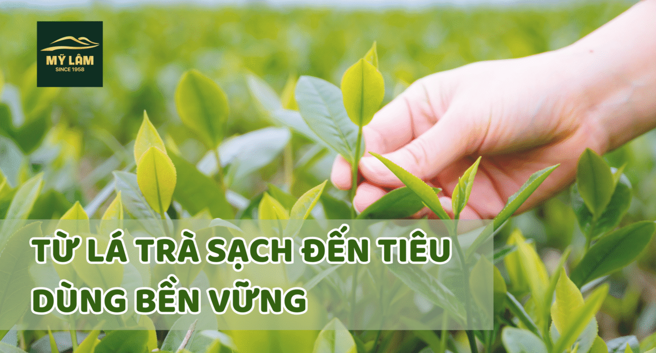 TINH HOA TRÀ VIỆT VƯỢT THỜI GIAN (1)