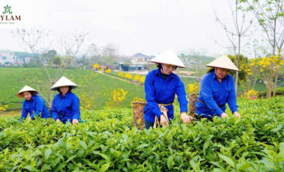 z7405322280288_f784c691a5ab79e3dd937dc93c6601be