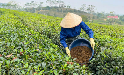 z7426299546775_443219a177b10e48f6232ad0f5a76df2